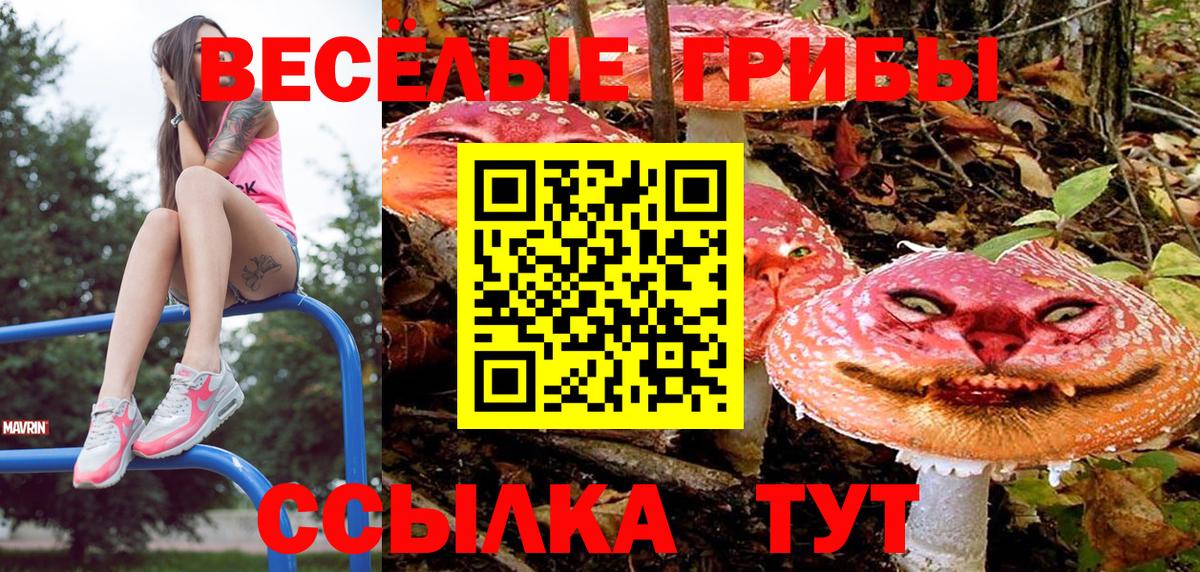 Псилоцибиновые грибы ЛСД Выборг